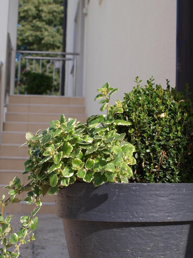 Apartments Mirasol Umag Kültér fotó